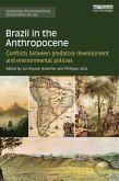 Brazil in the Anthropocene (eBook, ePUB)