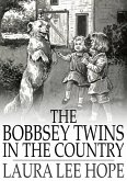 Bobbsey Twins in the Country (eBook, ePUB)