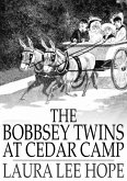Bobbsey Twins at Cedar Camp (eBook, ePUB)