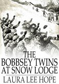 Bobbsey Twins at Snow Lodge (eBook, ePUB)