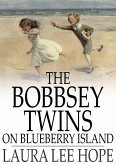 Bobbsey Twins on Blueberry Island (eBook, ePUB)