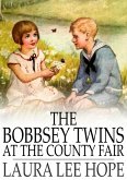 Bobbsey Twins at the County Fair (eBook, ePUB)