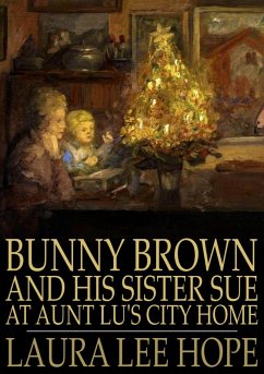 Bunny Brown and His Sister Sue at Aunt Lu's City Home (eBook, ePUB) - Hope, Laura Lee