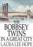 Bobbsey Twins in a Great City (eBook, ePUB)