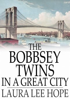Cover Bobbsey Twins in a Great City (eBook, ePUB)
