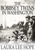 Bobbsey Twins in Washington (eBook, ePUB)