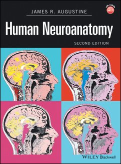 Human Neuroanatomy (eBook, ePUB) - Augustine, James R.