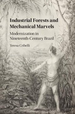 Industrial Forests and Mechanical Marvels (eBook, PDF) - Cribelli, Teresa