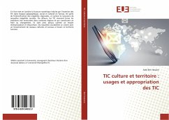 TIC culture et territoire : usages et appropriation des TIC - Ben Hassine, Adel