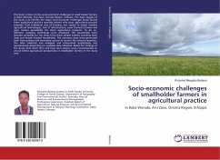 Socio-economic challenges of smallholder farmers in agricultural practice