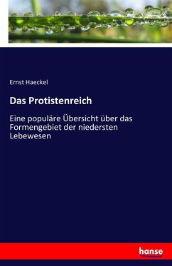 Das Protistenreich - Haeckel, Ernst