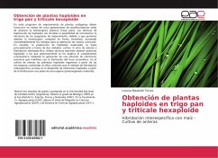 Obtención de plantas haploides en trigo pan y triticale hexaploide - Torres, Lorena Elizabeth