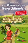 Der Diamant von Burg Silberfels (eBook, ePUB)