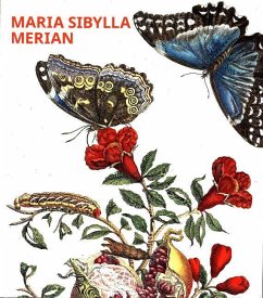 Cover Maria Sibylla Merian, 12 Kunstposter