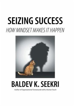 Seizing Success - Seekri, Baldev K.