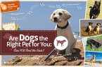 Are Dogs the Right Pet for You Are Dogs the Right Pet for You