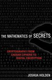 Mathematics of Secrets (eBook, PDF)