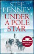 Under a Pole Star (eBook, ePUB) - Bild 1
