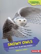 Snowy Owls (eBook, PDF) - Bild 1