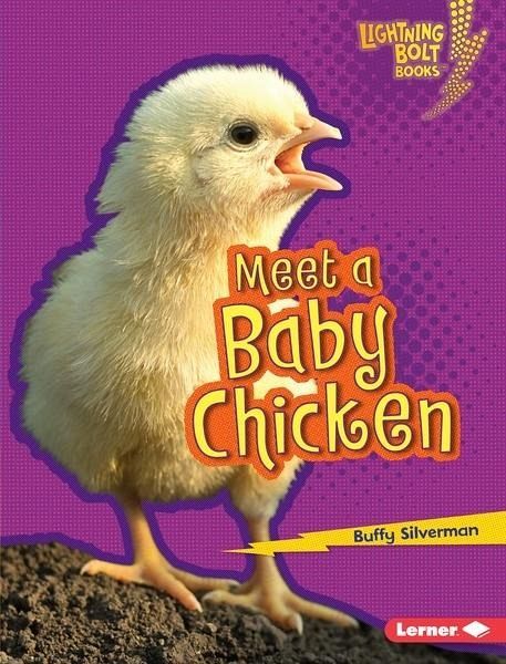 Meet a Baby Chicken (eBook, PDF)