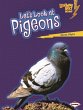 Let's Look at Pigeons (eBook, PDF) - Bild 1