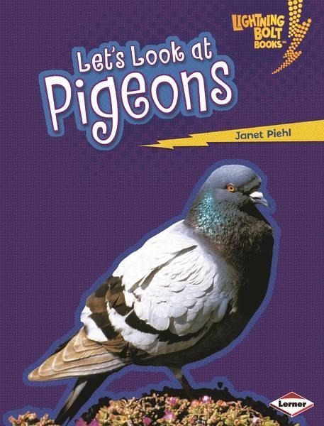 Let's Look at Pigeons (eBook, PDF) Let's Look at Pigeons (eBook, PDF)