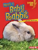 Meet a Baby Rabbit (eBook, PDF)