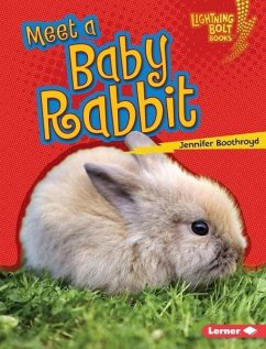 Cover Meet a Baby Rabbit (eBook, PDF)