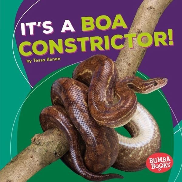It's a Boa Constrictor! (eBook, PDF)