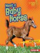 Meet a Baby Horse (eBook, PDF) - Bild 1