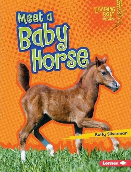 Meet a Baby Horse (eBook, PDF)