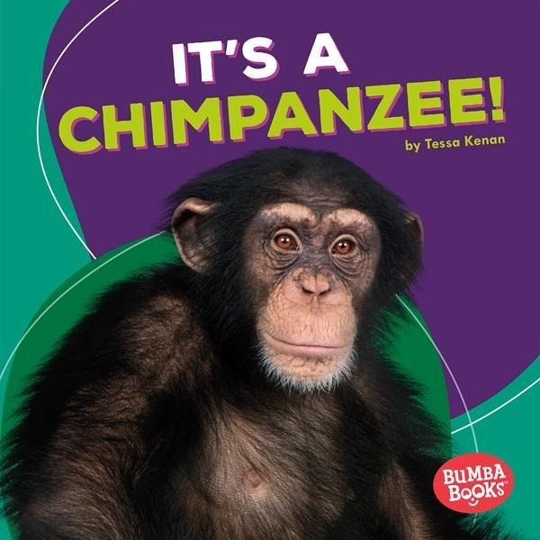 It's a Chimpanzee! (eBook, PDF) It's a Chimpanzee! (eBook, PDF)