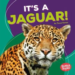 It's a Jaguar! (eBook, PDF) - Kenan, Tessa