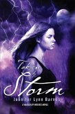 Taken by Storm (eBook, PDF)