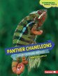 Panther Chameleons (eBook, PDF) - Bild 1