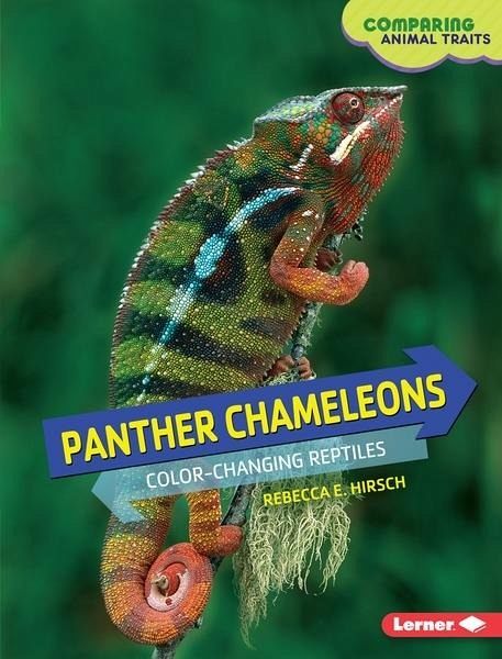 Panther Chameleons (eBook, PDF)