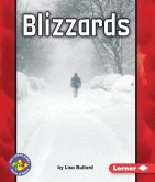 Blizzards (eBook, PDF) Blizzards (eBook, PDF)