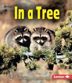 In a Tree (eBook, PDF)