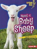 Meet a Baby Sheep (eBook, PDF)