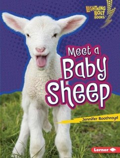 Cover Meet a Baby Sheep (eBook, PDF)