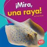 ¡Mira, una raya! (Look, a Ray!)... - Bild 1