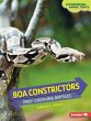 Boa Constrictors (eBook, PDF) - Bild 1