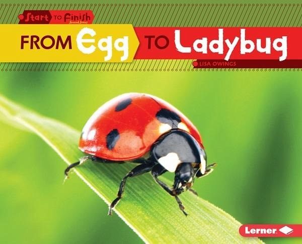 From Egg to Ladybug (eBook, PDF)