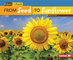 Cover From Seed to Sunflower (eBook, PDF)