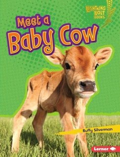 Meet a Baby Cow (eBook, PDF) - Silverman, Buffy