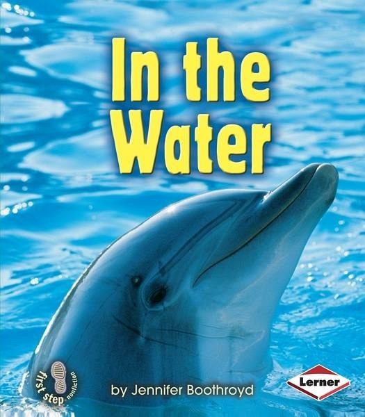 In the Water (eBook, PDF)