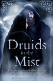 Druids In The Mist (Druid Hearts, #1) (eBook, ePUB)