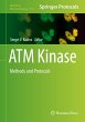 ATM Kinase - Bild 1