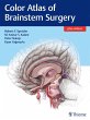 Color Atlas of Brainstem Surgery - Bild 1