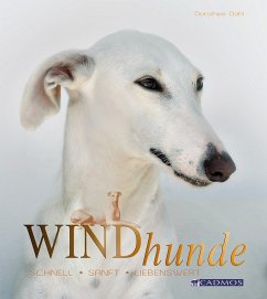 Windhunde (eBook, ePUB) - Dahl, Dorothee